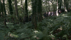 extant_GameOfThrones_3x02-DarkWingsDarkWords_1991