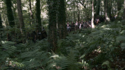 extant_GameOfThrones_3x02-DarkWingsDarkWords_1992
