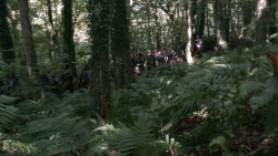 extant_GameOfThrones_3x02-DarkWingsDarkWords_1993
