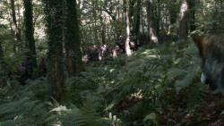 extant_GameOfThrones_3x02-DarkWingsDarkWords_1995