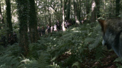 extant_GameOfThrones_3x02-DarkWingsDarkWords_1996