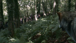 extant_GameOfThrones_3x02-DarkWingsDarkWords_1997