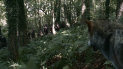 extant_GameOfThrones_3x02-DarkWingsDarkWords_1998