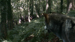 extant_GameOfThrones_3x02-DarkWingsDarkWords_2000