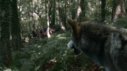 extant_GameOfThrones_3x02-DarkWingsDarkWords_2001