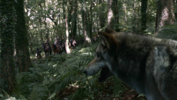extant_GameOfThrones_3x02-DarkWingsDarkWords_2002