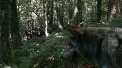 extant_GameOfThrones_3x02-DarkWingsDarkWords_2004