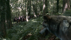 extant_GameOfThrones_3x02-DarkWingsDarkWords_2005