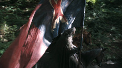 extant_GameOfThrones_3x02-DarkWingsDarkWords_2010