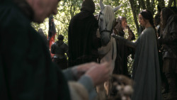 extant_GameOfThrones_3x02-DarkWingsDarkWords_2136