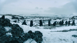 extant_GameOfThrones_3x02-DarkWingsDarkWords_2742