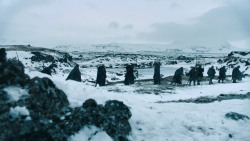 extant_GameOfThrones_3x02-DarkWingsDarkWords_2743
