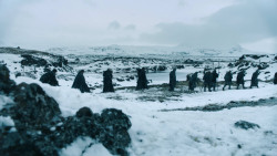 extant_GameOfThrones_3x02-DarkWingsDarkWords_2745