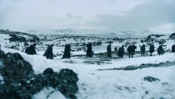 extant_GameOfThrones_3x02-DarkWingsDarkWords_2746