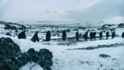 extant_GameOfThrones_3x02-DarkWingsDarkWords_2747