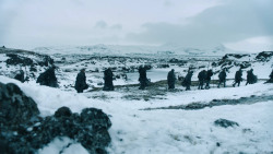 extant_GameOfThrones_3x02-DarkWingsDarkWords_2748