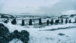 extant_GameOfThrones_3x02-DarkWingsDarkWords_2749
