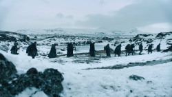 extant_GameOfThrones_3x02-DarkWingsDarkWords_2750