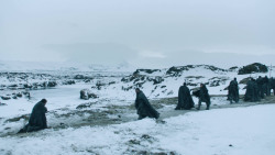 extant_GameOfThrones_3x02-DarkWingsDarkWords_2855