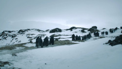 extant_GameOfThrones_3x02-DarkWingsDarkWords_3028