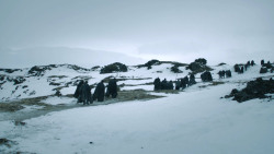 extant_GameOfThrones_3x02-DarkWingsDarkWords_3030