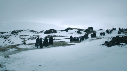 extant_GameOfThrones_3x02-DarkWingsDarkWords_3031