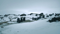 extant_GameOfThrones_3x02-DarkWingsDarkWords_3032
