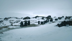 extant_GameOfThrones_3x02-DarkWingsDarkWords_3033
