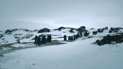 extant_GameOfThrones_3x02-DarkWingsDarkWords_3034