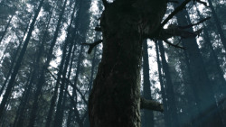 extant_GameOfThrones_3x02-DarkWingsDarkWords_3035