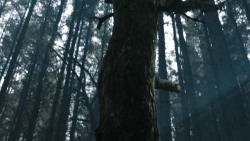 extant_GameOfThrones_3x02-DarkWingsDarkWords_3036