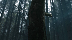 extant_GameOfThrones_3x02-DarkWingsDarkWords_3037