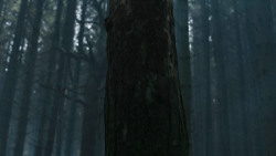 extant_GameOfThrones_3x02-DarkWingsDarkWords_3039