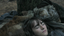 extant_GameOfThrones_3x02-DarkWingsDarkWords_3047