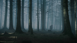 extant_GameOfThrones_3x02-DarkWingsDarkWords_3094
