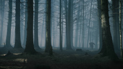 extant_GameOfThrones_3x02-DarkWingsDarkWords_3096