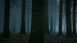 extant_GameOfThrones_3x02-DarkWingsDarkWords_3111