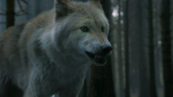 extant_GameOfThrones_3x02-DarkWingsDarkWords_3136