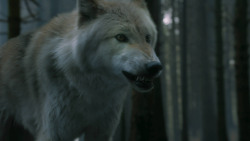 extant_GameOfThrones_3x02-DarkWingsDarkWords_3137