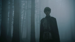 extant_GameOfThrones_3x02-DarkWingsDarkWords_3147