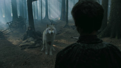 extant_GameOfThrones_3x02-DarkWingsDarkWords_3167