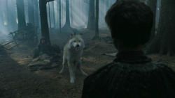 extant_GameOfThrones_3x02-DarkWingsDarkWords_3169