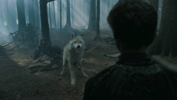 extant_GameOfThrones_3x02-DarkWingsDarkWords_3170