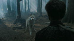 extant_GameOfThrones_3x02-DarkWingsDarkWords_3171