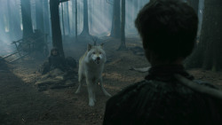 extant_GameOfThrones_3x02-DarkWingsDarkWords_3172
