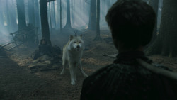 extant_GameOfThrones_3x02-DarkWingsDarkWords_3173