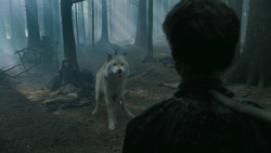 extant_GameOfThrones_3x02-DarkWingsDarkWords_3174