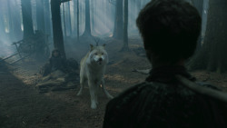 extant_GameOfThrones_3x02-DarkWingsDarkWords_3175