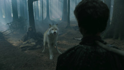 extant_GameOfThrones_3x02-DarkWingsDarkWords_3176