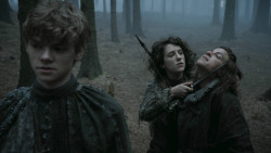 extant_GameOfThrones_3x02-DarkWingsDarkWords_3226